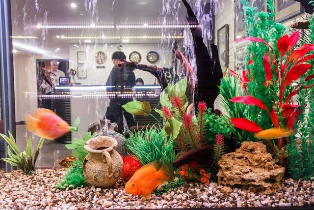 Гостиница Аврора Хабаровск-81